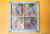 Rustic Window Frame Birds